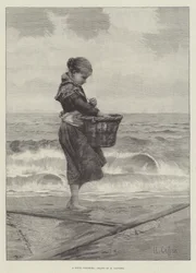 A Young Shrimper